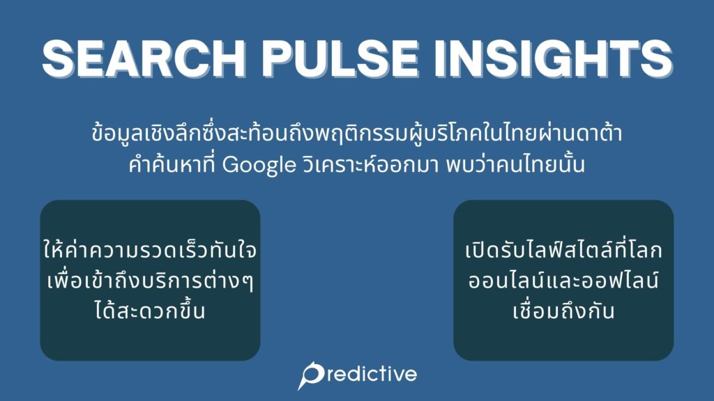 search insights