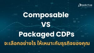 Composable VS packaged CDPs